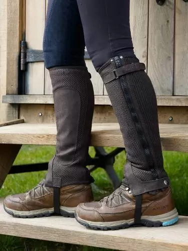 Just Chaps Cool Half Chaps in brown with Ariat Telluride boots