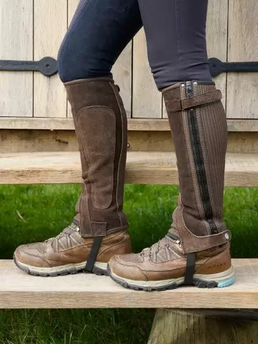 Just Chaps Classic Suede half chaps with Ariat Telluride boots