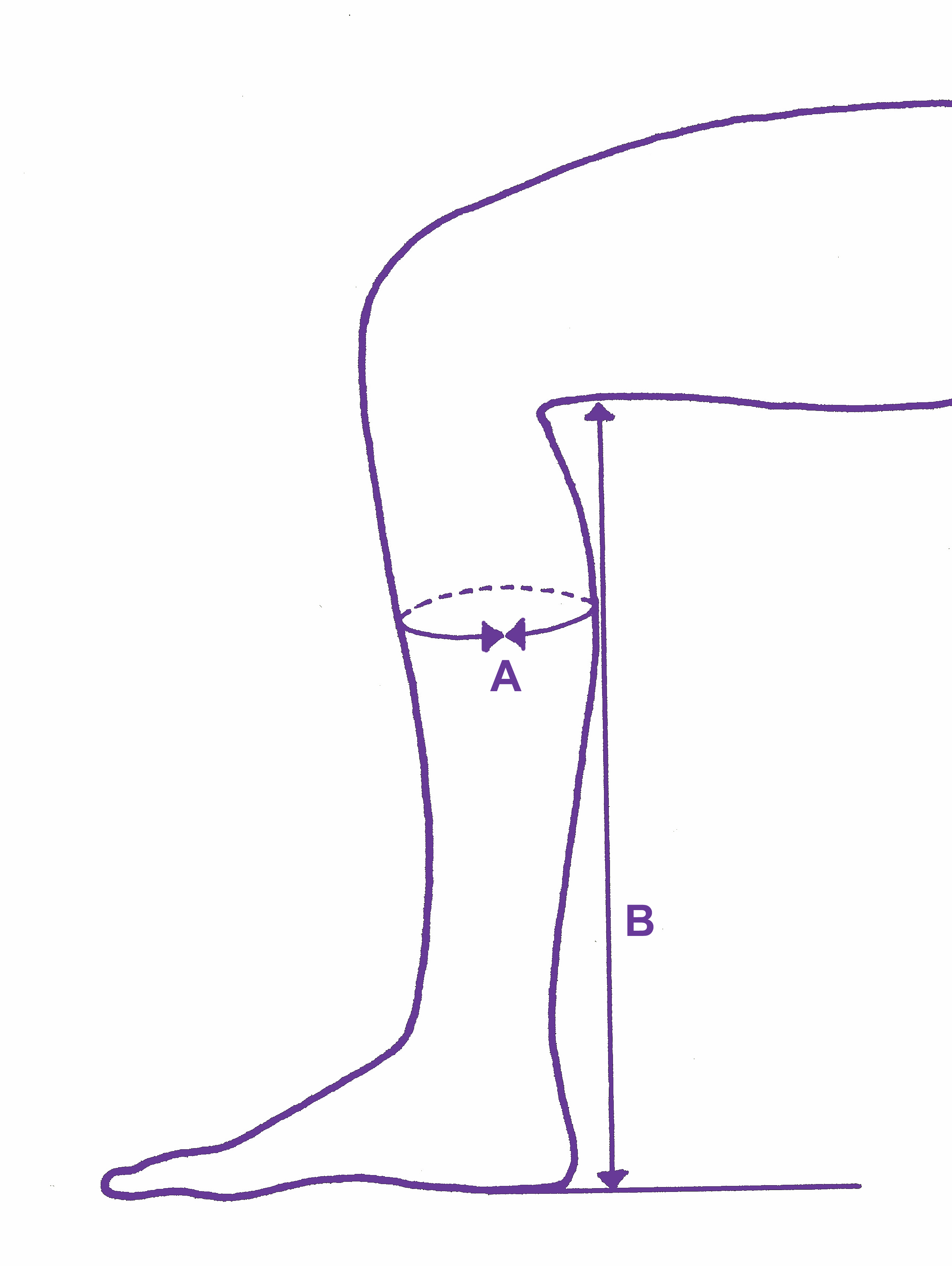 Lower leg with measuring lines