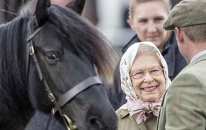 the queen and her ponies at the royal windsor horse show
