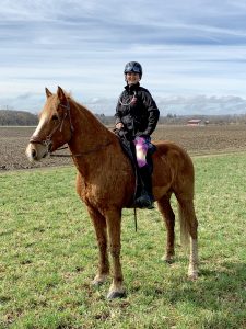 which half chaps are best for the mongol derby?